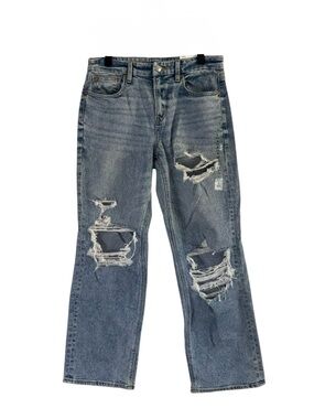 American Eagle Outfitters Curvy Straight Always Vintage Stretch High-Rise Jeans